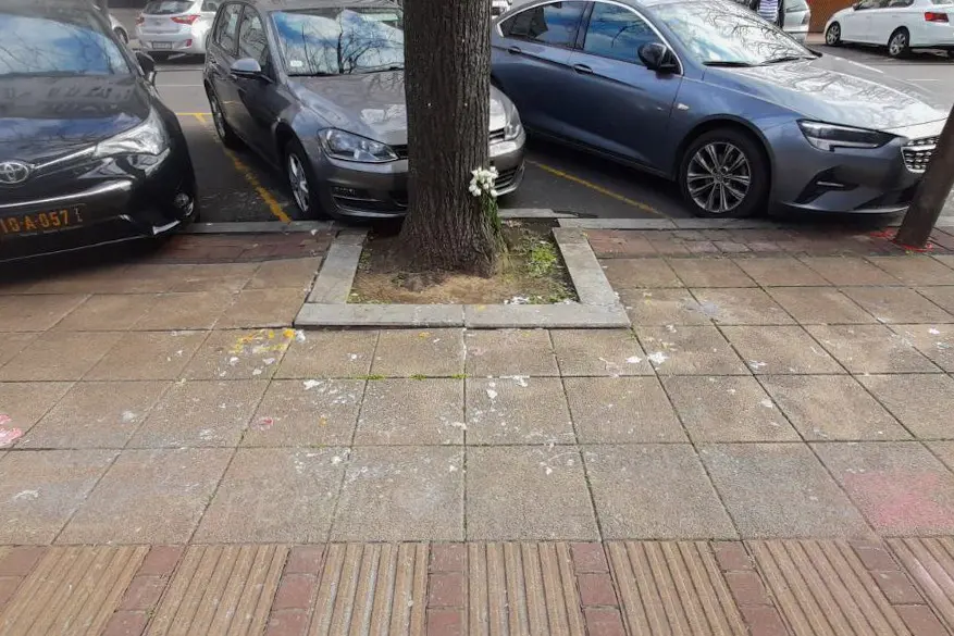 Мемориал Навальному у&nbsp;российского посольства в&nbsp;Белграде, Сербия. Источник: предоставлено Российским Демократическим Обществом.