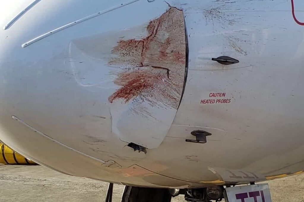 Столкновение самолёта с птицами