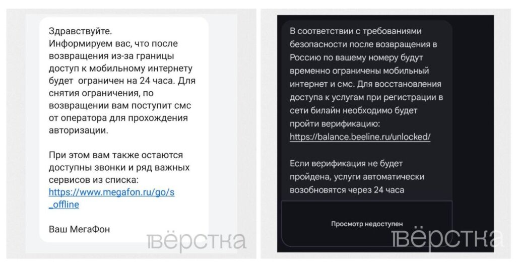 «Билайн» и&nbsp;«Мегафон» начали вводить 24-часовой «период охлаждения»связи для сим-карт россиян при возврате в&nbsp;РФ<br />
