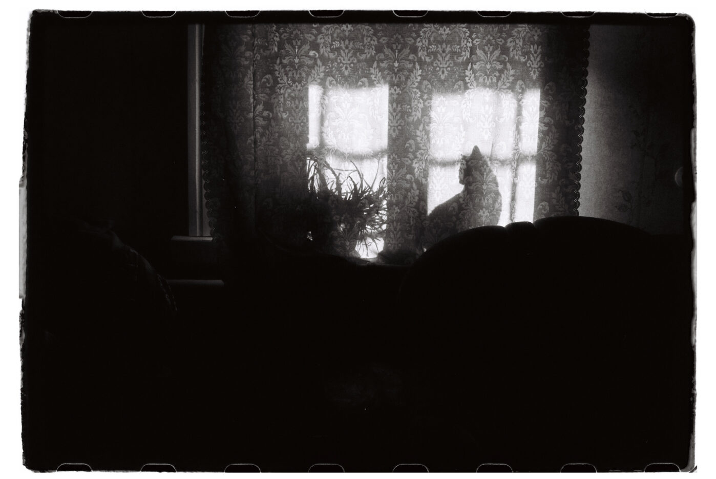 Фотограф Владимир Аверин в&nbsp;фотопроекте о&nbsp;болезни Альцгеймера у&nbsp;близкого человека рассказывает, с&nbsp;какими трудностями сталкивается человек, ухаживающий за&nbsp;больным