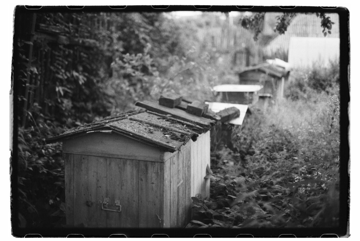 Фотограф Владимир Аверин в&nbsp;фотопроекте о&nbsp;болезни Альцгеймера у&nbsp;близкого человека рассказывает, с&nbsp;какими трудностями сталкивается человек, ухаживающий за&nbsp;больным